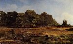 Avenue of Chestnut Trees near La Celle-Saint-Cloud - Alfred Sisley Oil Painting