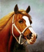The Head of a Horse 2 - Oil Painting Reproduction On Canvas