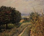 Among the Vines near Louveciennes - Alfred Sisley Oil Painting