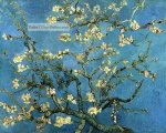 Van Gogh Almond Blossom