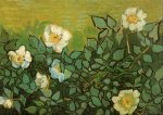 Wild Roses - Vincent Van Gogh Oil Painting