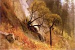 Landscape Study: Yosemite, California - Albert Bierstadt Oil Painting