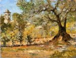 Olive Trees, Florence - William Merritt Chase Oil Painting