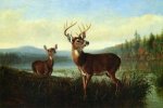 On the Alert - Arthur Fitzwilliam Tait Oil Painting