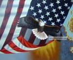 The eagle behind American national flag