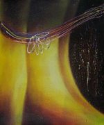 Mysterious - Oil Painting Reproduction On Canvas
