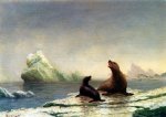Seals - Albert Bierstadt Oil Painting