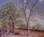 Plum and Walnut Trees in Spring - Alfred Sisley Oil Painting