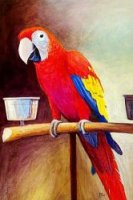 A Red Parrot in Its Cage - Oil Painting Reproduction On Canvas