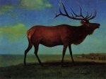 Elk - Albert Bierstadt Oil Painting