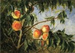 Peaches - Thomas Worthington Whittredge Oil Painting