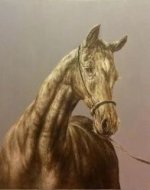 The head of horse - Oil Painting