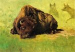 Bison with Coyotes in the Background - Albert Bierstadt Oil Painting