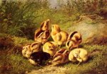 Chicks - Arthur Fitzwilliam Tait Oil Painting