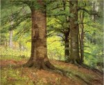 Beech Trees - Theodore Clement Steele Oil Painting