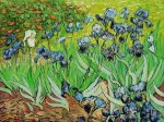 Irises IV - Vincent Van Gogh Oil Painting