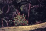 Woodland Scene with Red-Flowered Bush - William Aiken Walker Oil Painting
