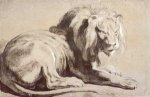 Etude of lion - Peter Paul Rubens Oil Painting