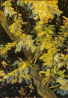 Blossoming Acacia Branches - Vincent Van Gogh Oil Painting