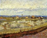 La Crau with Peach Trees in Bloom - Vincent Van Gogh Oil Painting