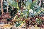 Palmettos, Florida - John Singer Sargent Oil Painting