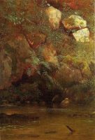 Ferns and Rocks on an Embankment - Albert Bierstadt Oil Painting
