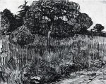 The Park at Arles - Vincent Van Gogh Oil Painting