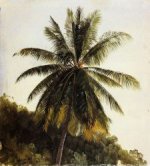 Palm Trees, West Indies - Frederic Edwin Church Oil Painting