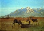 Deer in a Mountain Home - Albert Bierstadt Oil Painting