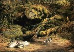Ducks at the Spring Head - Arthur Fitzwilliam Tait Oil Painting