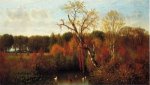 Duck Pond - Thomas Worthington Whittredge Oil Painting