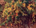 Pomegranates II - John Singer Sargent Oil Painting