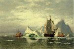 Arctic Whaler Homeward Bound Among the Icebergs - William Bradford Oil Painting