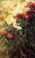 Chrysanthemums, Garden at Petit Gennevilliers - Gustave Caillebotte Oil Painting