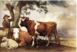 Young Bull - Paulus Potter Oil Painting