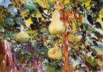 Gourds - John Singer Sargent Oil Painting