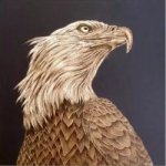 The Head of a eagle - Oil Painting Reproduction On Canvas