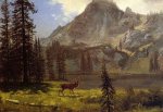 Call of the Wild - Albert Bierstadt Oil Painting