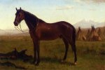 Portrait of a Horse - Albert Bierstadt Oil Painting