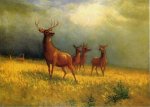 Deer in a Field - Albert Bierstadt Oil Painting