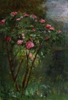 Rose Bush in Flower - Gustave Caillebotte Oil Painting