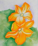 Squash Blossoms - Georgia O'Keeffe Oil Painting