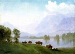 Buffalo Country - Albert Bierstadt Oil Painting