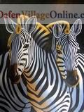 Two heads of zebras