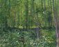 Woods and Undergrowth - 1887