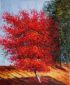 My Japanese Tree - Oil Painting Reproduction On Canvas