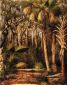 Palm Hammock with Epiphytes - William Aiken Walker Oil Painting
