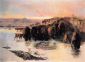 The Buffalo Herd - Charles Marion Russell Oil Painting