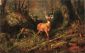 The Adirondacks - Arthur Fitzwilliam Tait Oil Painting