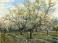 The White Orchard - Vincent Van Gogh Oil Painting